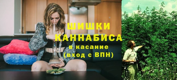 mdpv Медвежьегорск