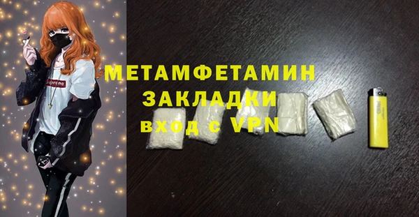 шишки Дмитровск