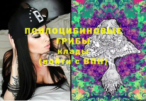 ешки Мегион
