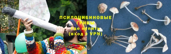 MESCALINE Дмитриев