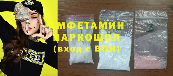 шишки Дмитровск
