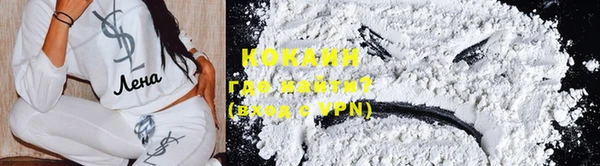 шишки Дмитровск